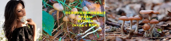 МДМА Нея