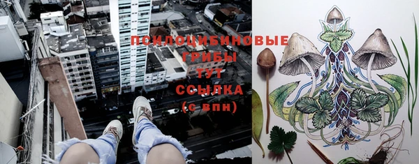 бошки Абаза