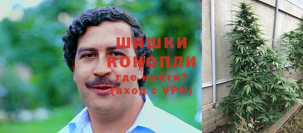 крисы Абдулино