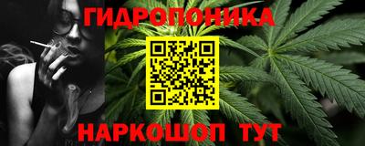 стафф Ставрополь
