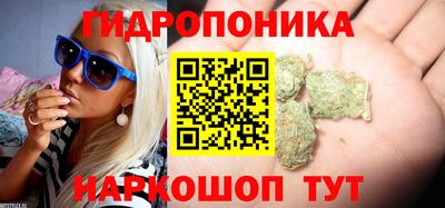 стафф Ставрополь