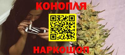 стафф Ставрополь