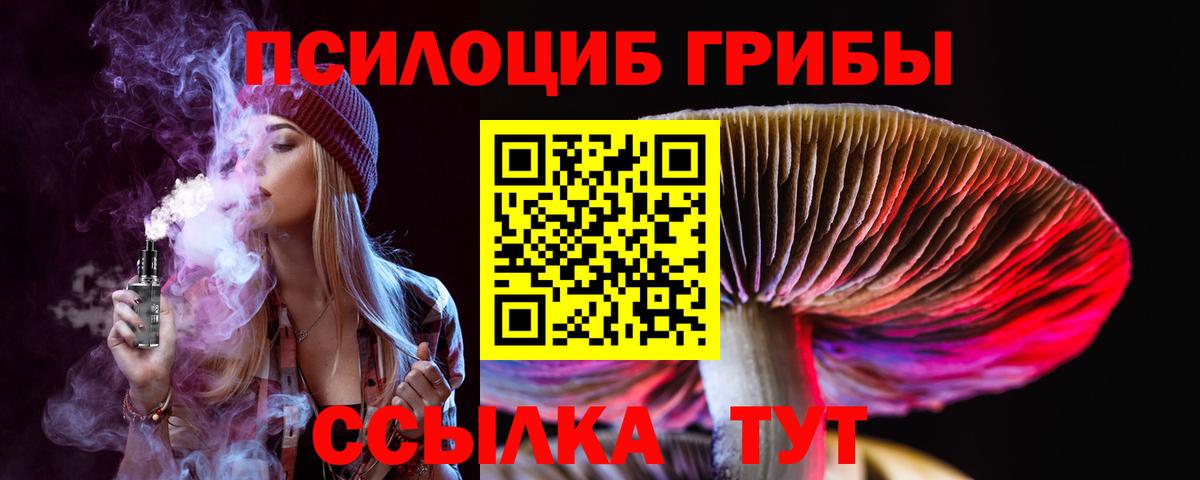 Рязань  Псилоцибиновые грибы Psilocybe  Вход с VPN 